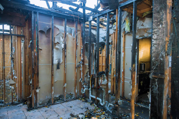 Professional Soot Cleanup technician working in Shoreview, MN